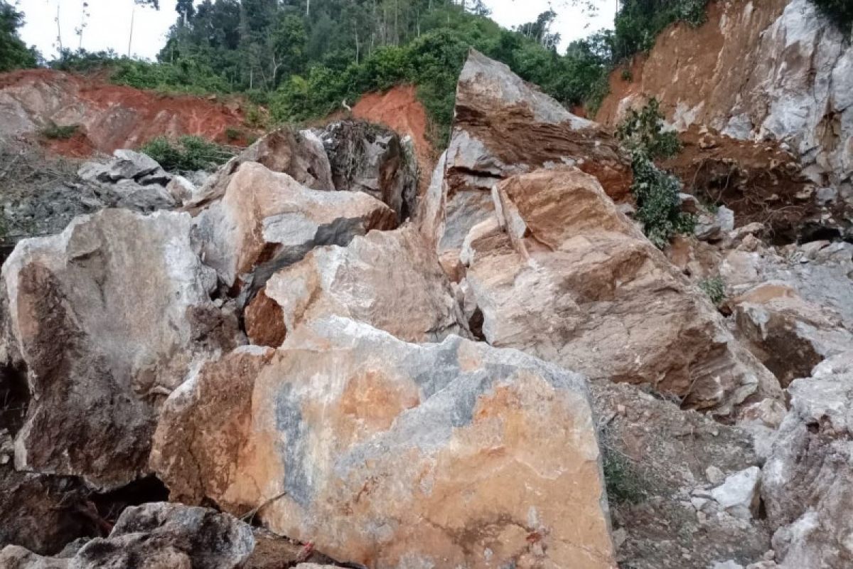 Landslide buries eight illegal gold miners in West Sumatra