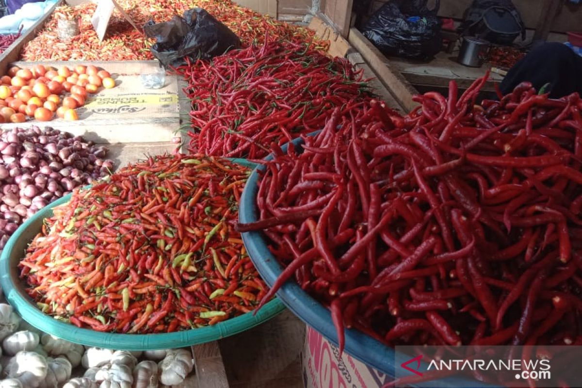 Harga cabai merah biasa  di pasar tradisional Ambon naik