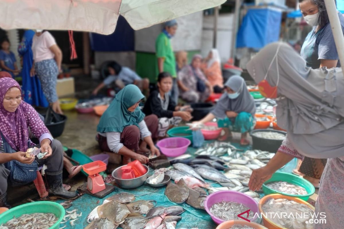 Harga ikan laut di Pandan mulai merangkak naik