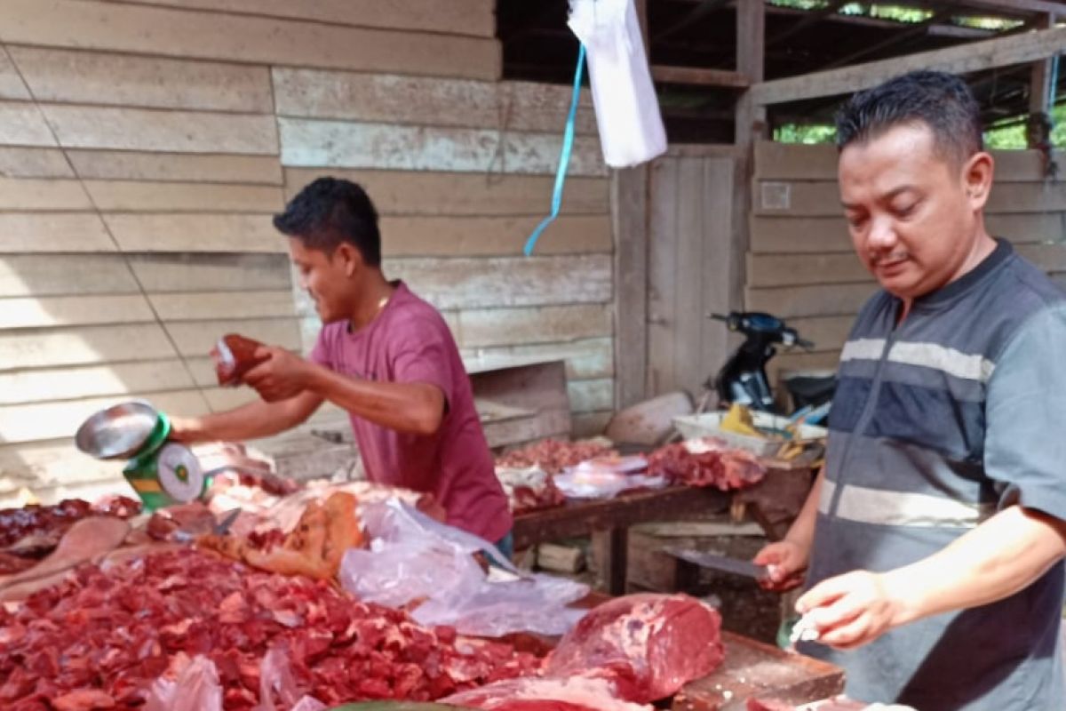 Harga daging sapi di Mukomuko masih stabil