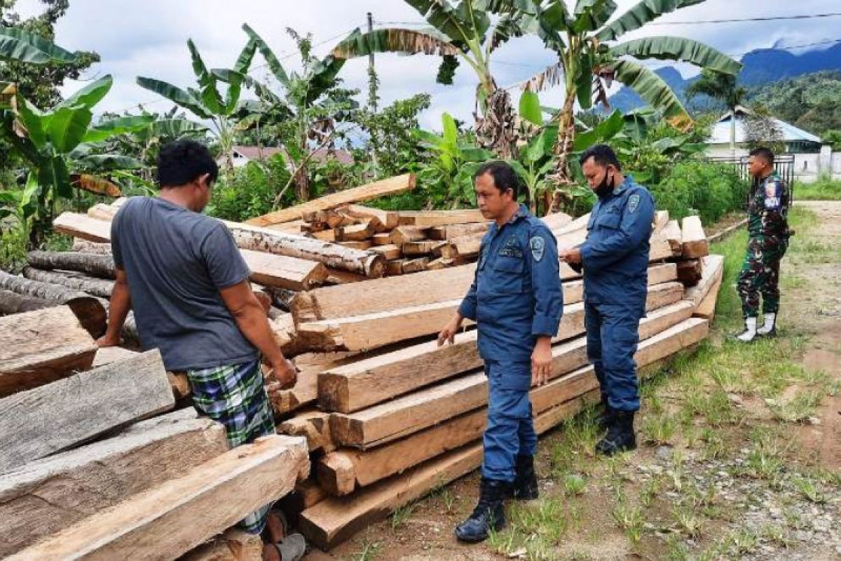 Gakkum KLHK sita 65 batang kayu hasil pembalakan liar di Mamuju