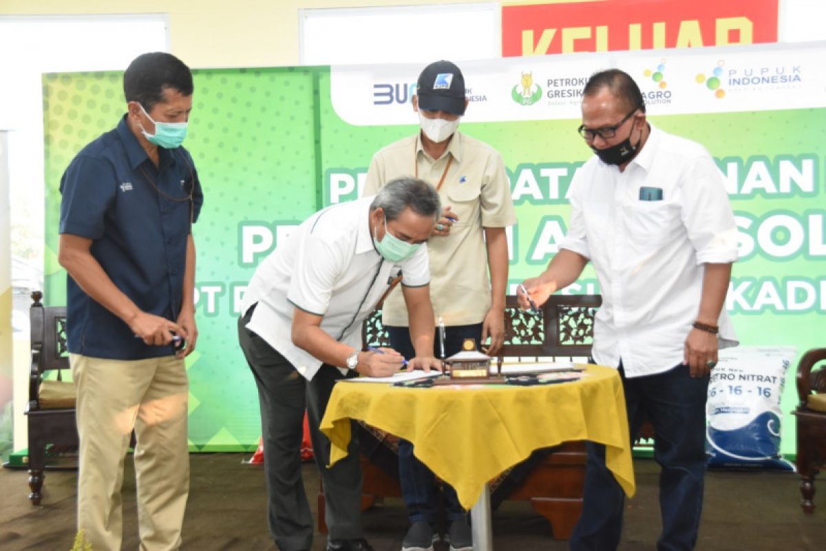 Petrokimia Gresik gandeng Kadin Kota Batu tanam jeruk di lahan 2.000 meter persegi