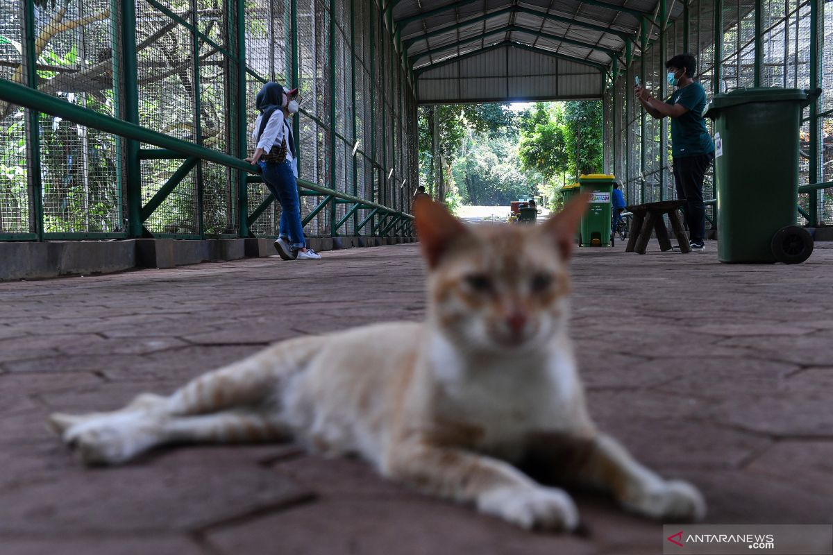 Ini tempat wisata yang buka pada periode Idul Fitri