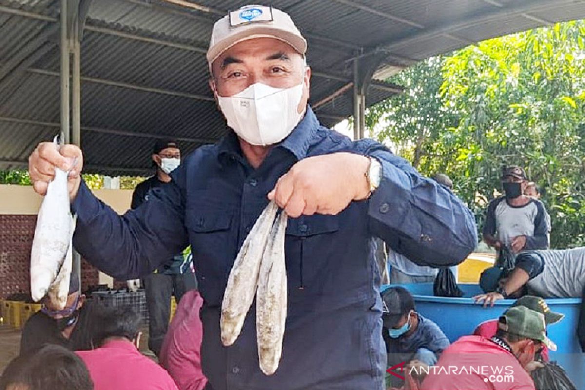 Lebaran, KKP bagikan paket ikan segar 2,5 ton di Karawang Jabar