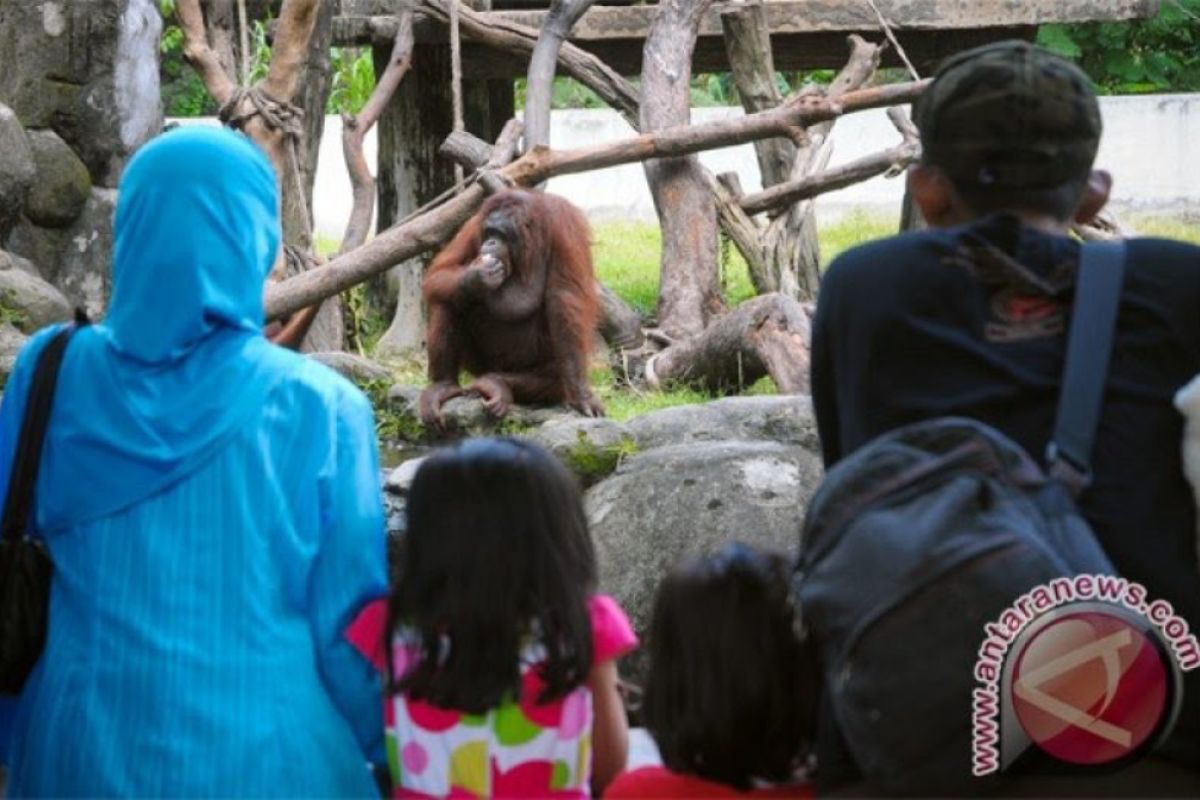 Seribuan wisatawan mengunjungi Gembira Loka Zoo pada hari H+2 Lebaran