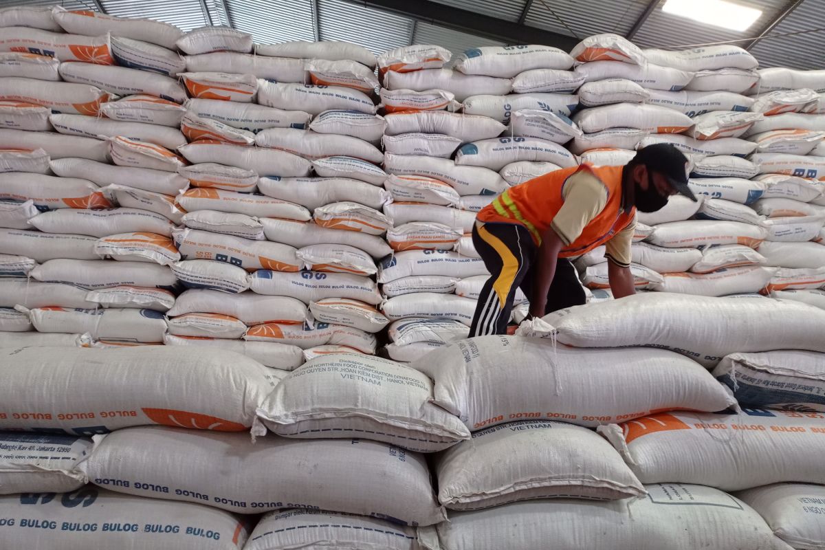 Bulog: tak ada impor beras tahun ini