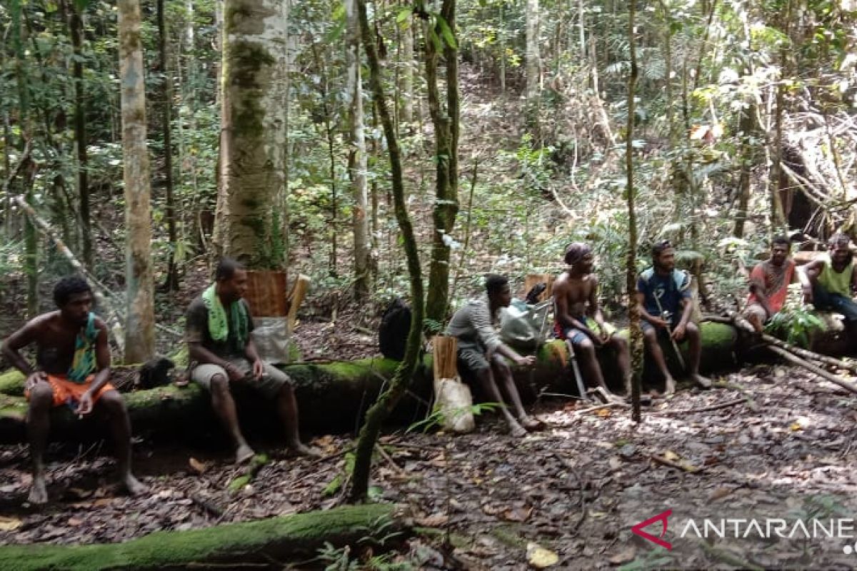 Masyarakat Malaumkarta Raya Sorong dorong regulasi perlindungan hutan adat