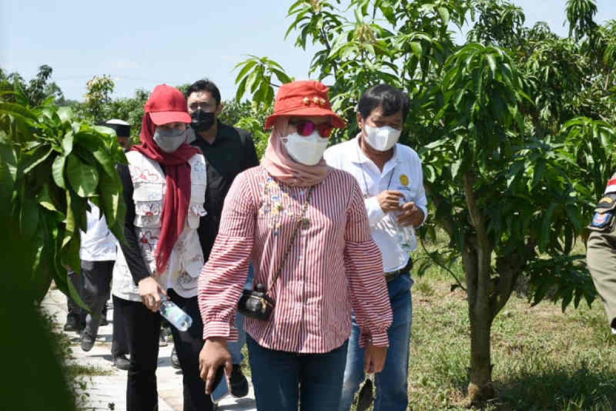 Pemkab Indramayu larang semua wahana "water boom" beroperasi