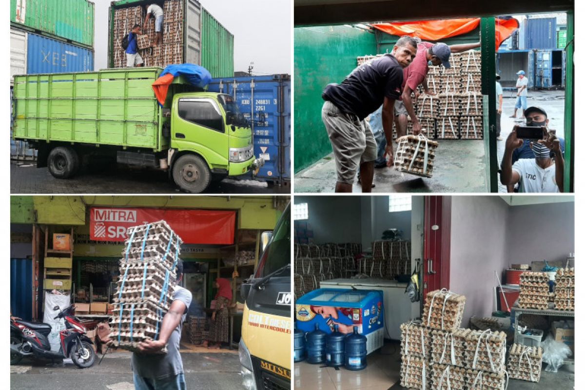 Disperindag Maluku - distributor distribusi 15 kontainer telur atasi kelangkaan