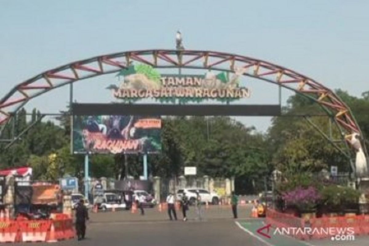 Sebanyak 17.148 orang kunjungi Taman Margasatwa Ragunan pada H+2 Lebaran