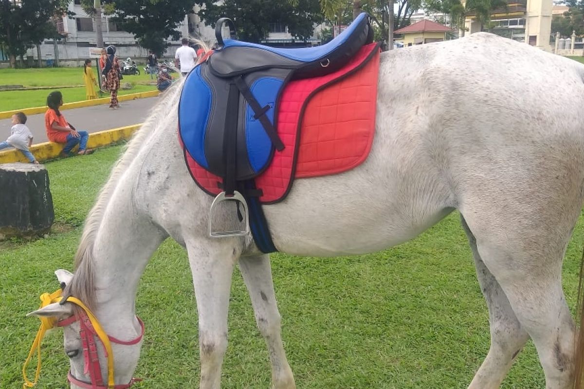 Kuda sewa di Istana Maimun dari Aceh