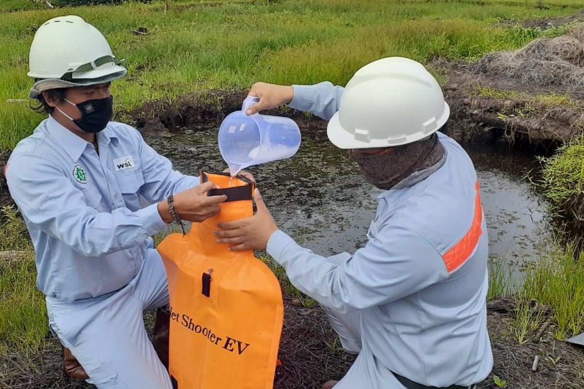 Perusahaan Jepang kembangkan cairan pengendali kebakaran hutan