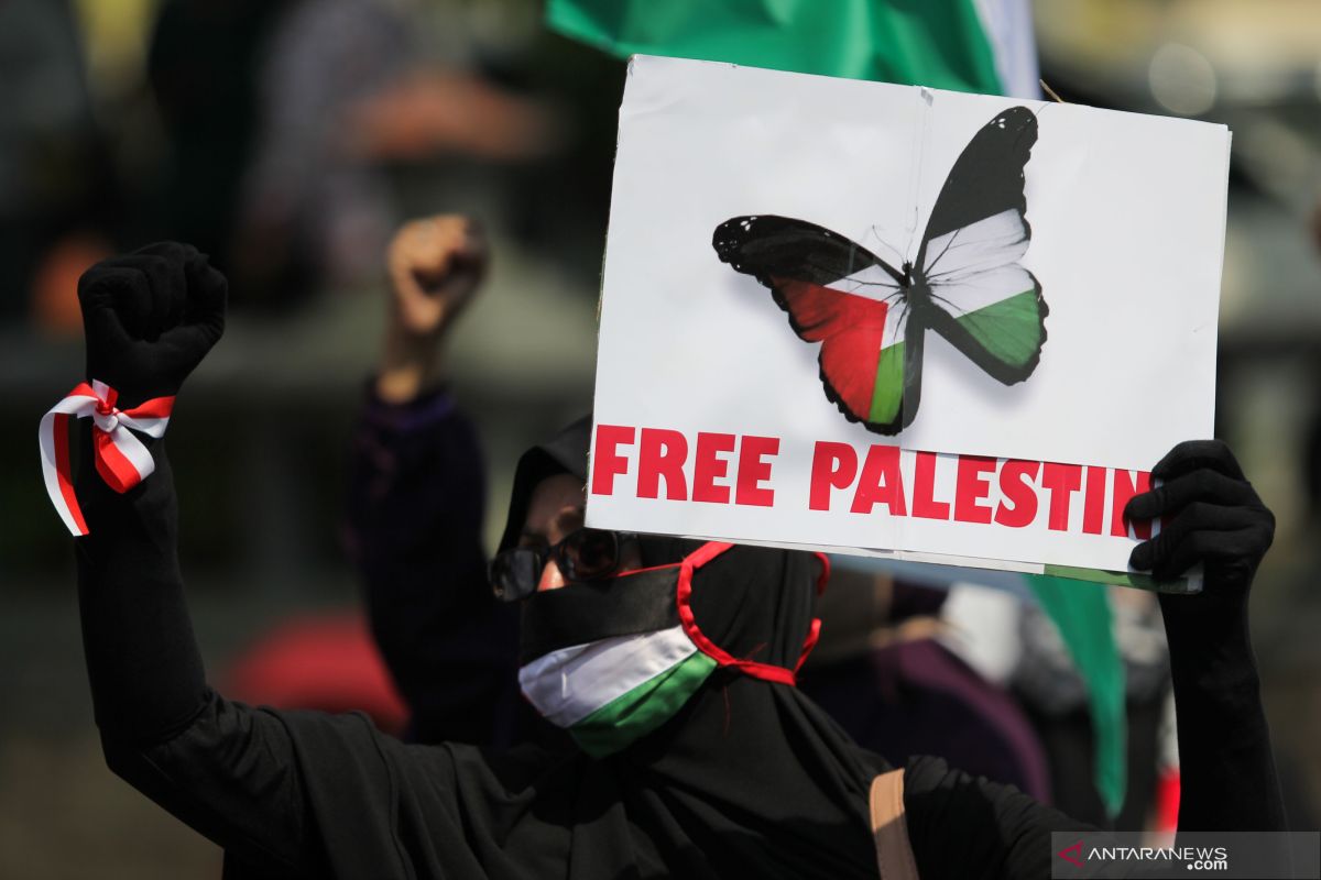 Indonesians join in global wave of support for Palestine