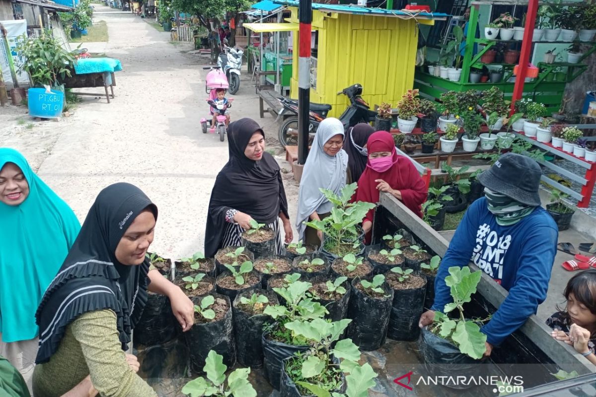 Lurah Jenebora Penajam  ubah permukiman jadi hijau