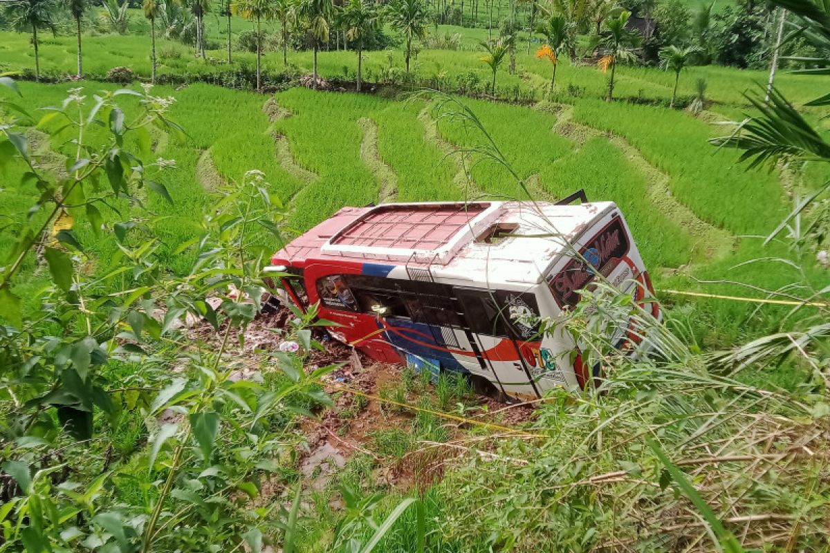 Berikut nama-mana korban dan penumpang bus Pasaman Transport Express yang 'nyungsep' ke sawah