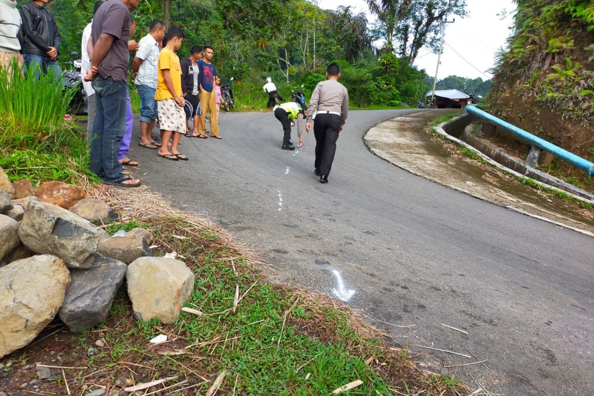 Begini kronologi kecelakaan Bus Pasaman Transport Express yang terjun ke sawah