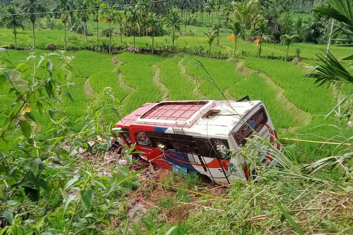 Bus rombongan nikahan terguling ke jurang tewaskan 2 orang penumpang, 35  lainnya luka-luka