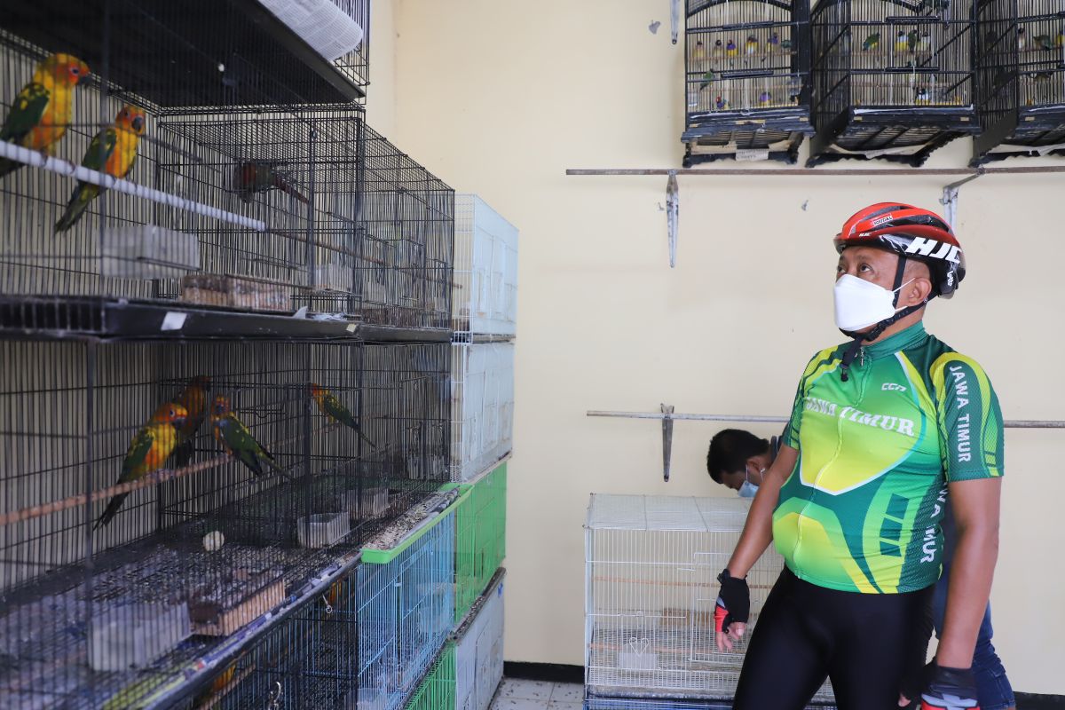 Wawali Armuji : Fasilitas Pasar Burung Bratang Surabaya perlu direnovasi
