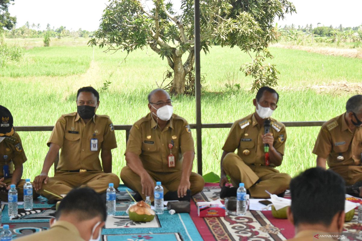 Bupati-camat gelar rakor perkembangan desa