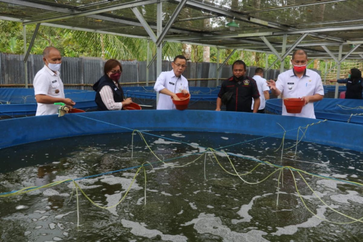 Pemerintah Kota Tomohon dorong kelompok budidaya ikan sistem bioflok