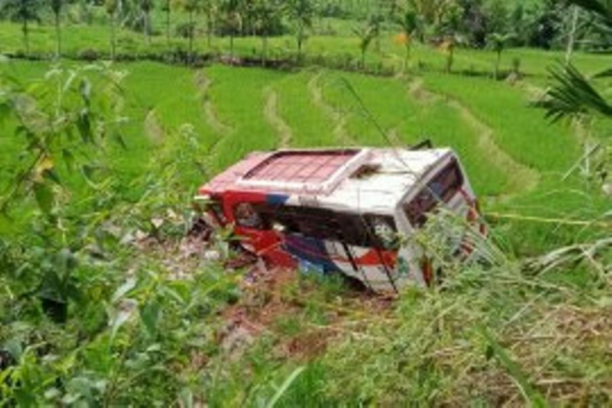 Bus angkut rombongan keluarga pengantin di Pasaman terjun ke jurang, dua tewas dan puluhan luka-luka