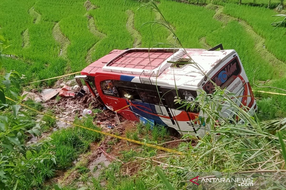 Bus angkut keluarga pengantin 'nyungsep' ke sawah, dua penumpang tewas (Video)