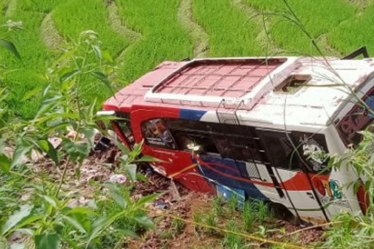 3 balita selamat tanpa luka dalam peristiwa bus terguling