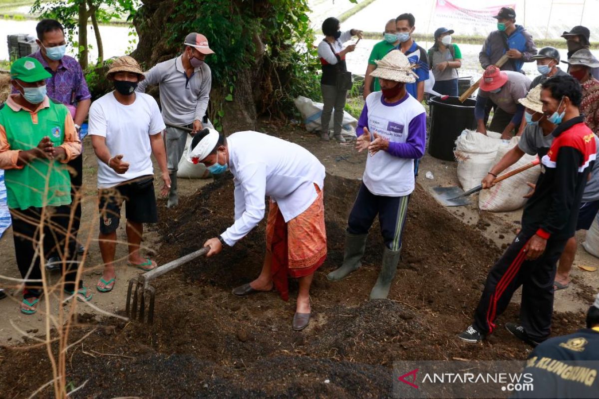 Pemkab Klungkung genjot Pertanian Organik