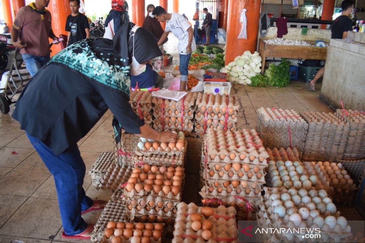 Harga telur ayam ras naik Rp43 ribu di Abdya