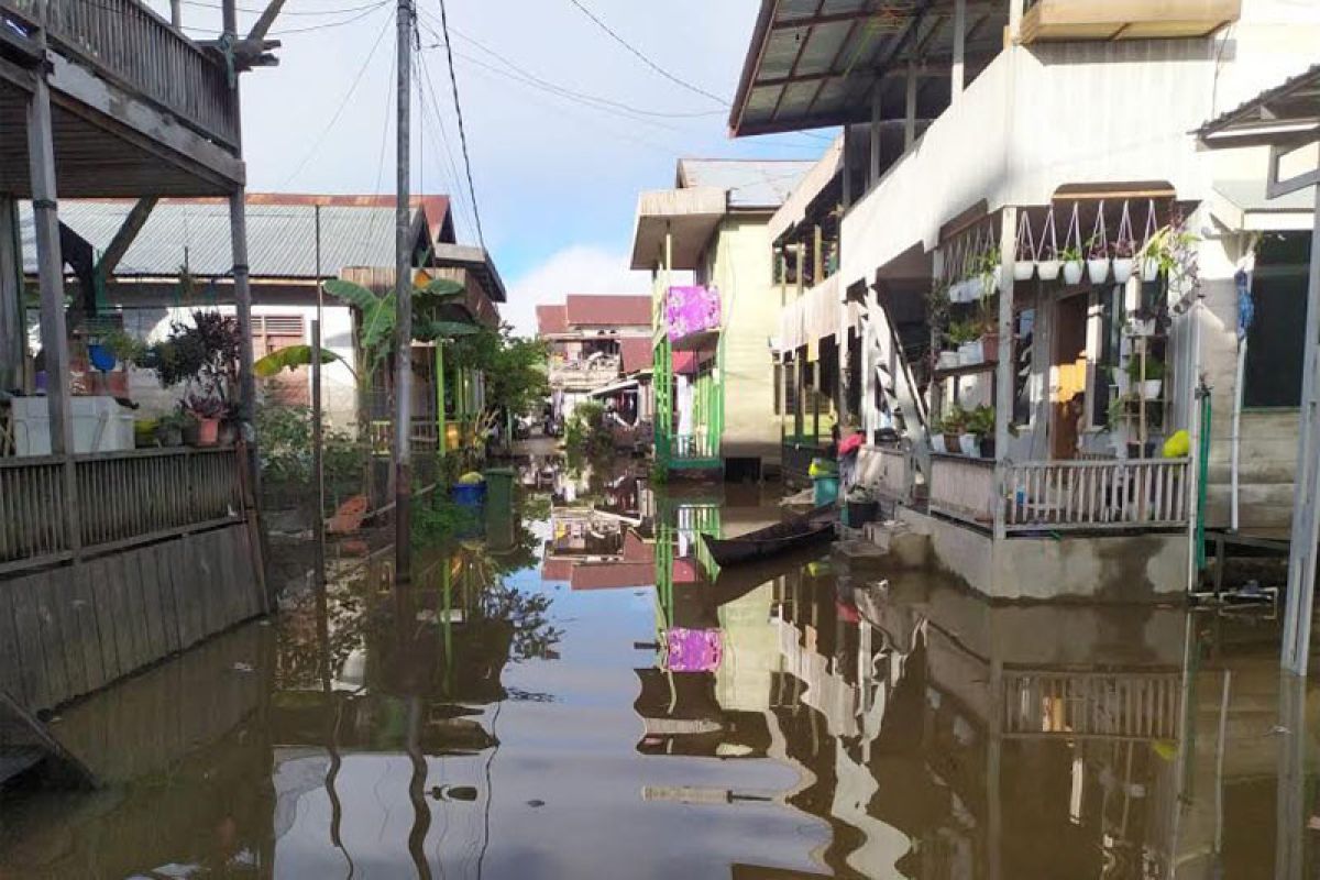 Jalan dan pemukiman di Barito Utara terendam banjir
