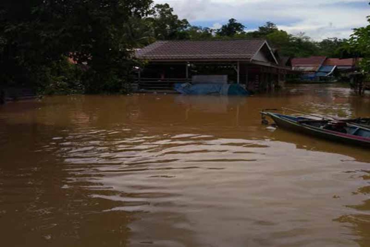 Banjir kembali terjadi di tujuh desa di Kecamatan Kapuas Tengah