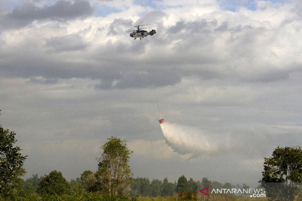 Pemprov Kalsel dan BPKP mitigasi penanganan lahan kritis dan Karhutla