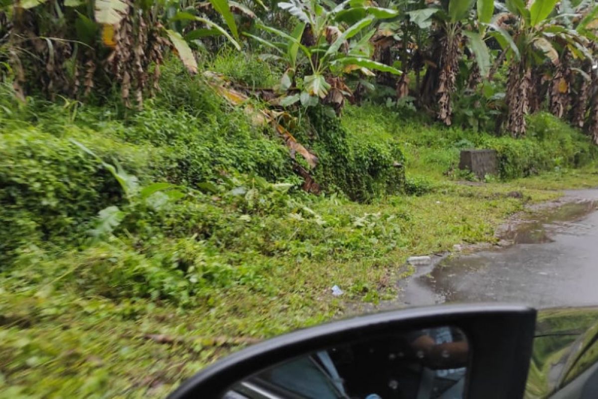 Proyek pembersihan jalan Manado-Tondano, bersihkah?