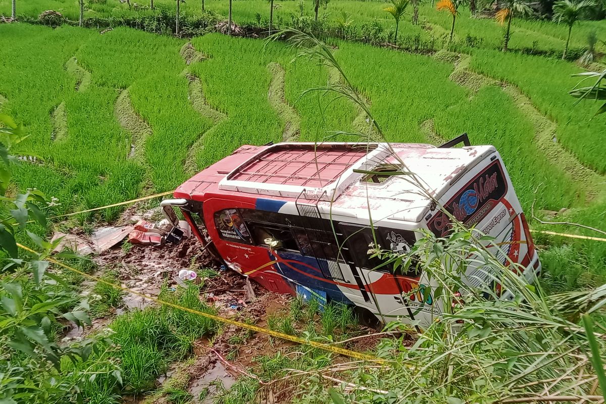 Seorang balita korban kecelakaan bus di Pasaman meninggal