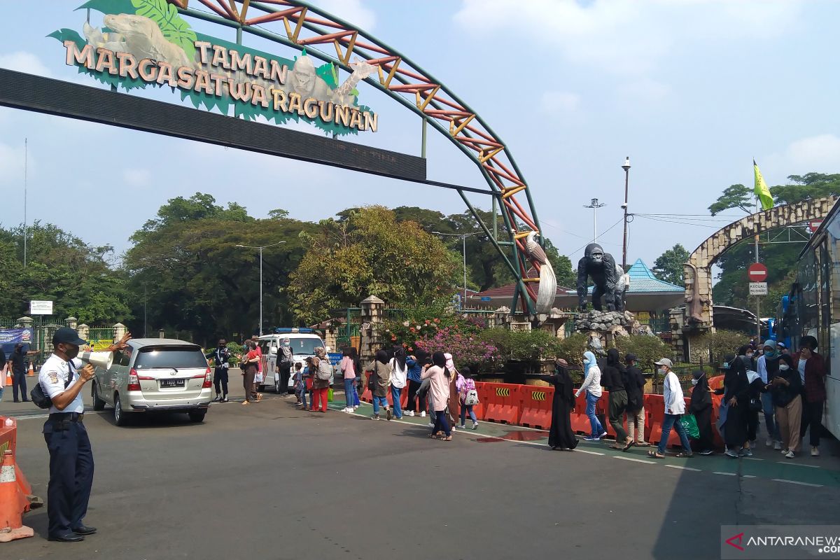 24.335 wisatawan telah kunjungi Ragunan