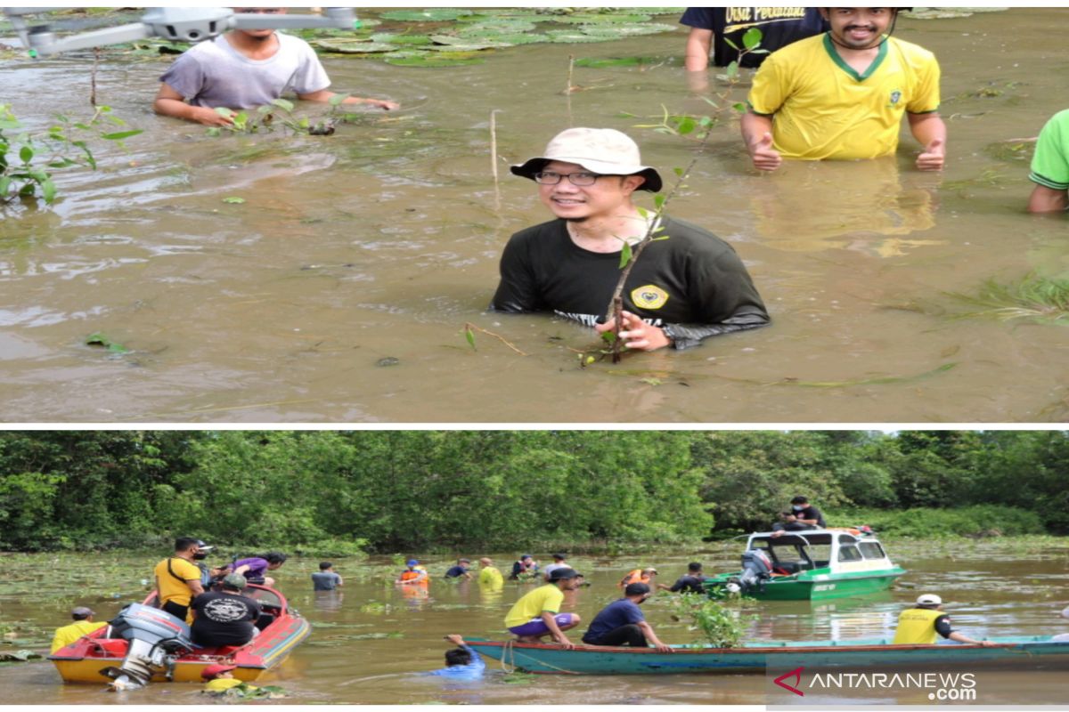 Fakultas Kehutanan ULM tanam mangrove rambai untuk kelestarian habitat bekantan