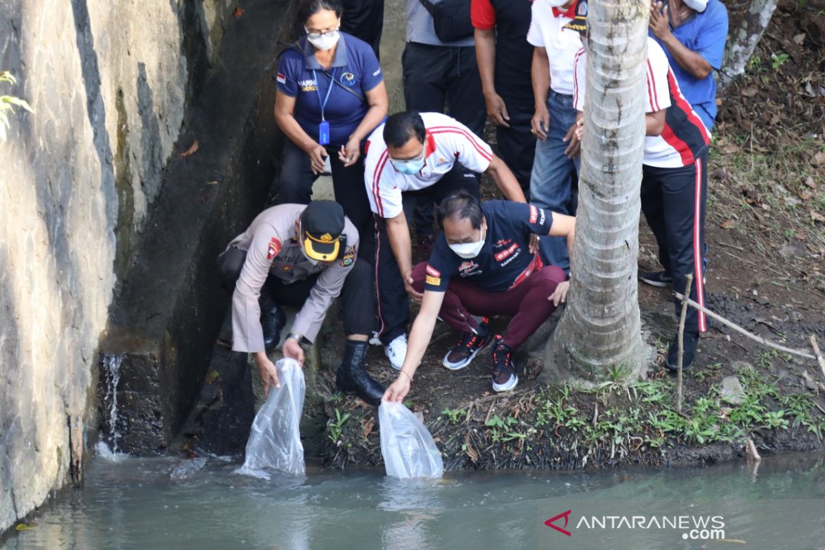 Pemkab Badung tebar ribuan benih ikan lestarikan ekosistem perairan tawar