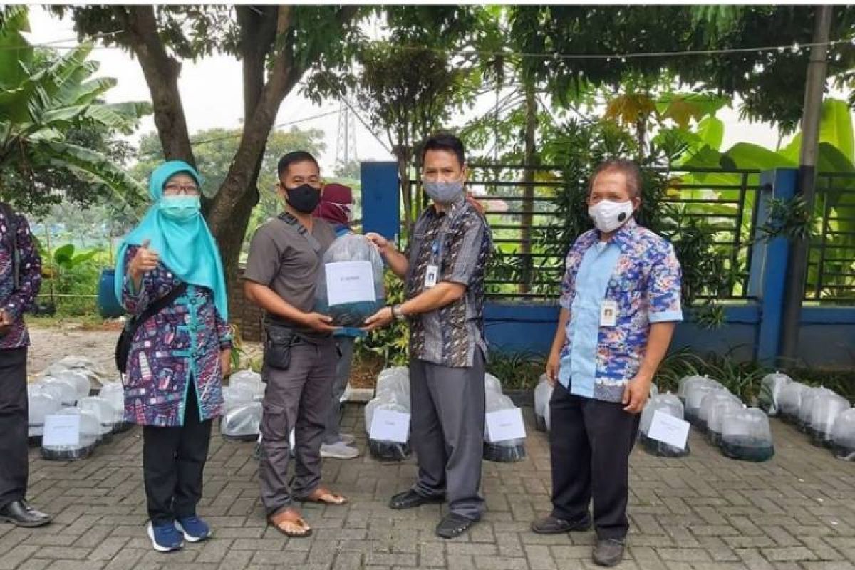 DKP Kota Tangerang distribusikan bantuan 104.000 benih lele