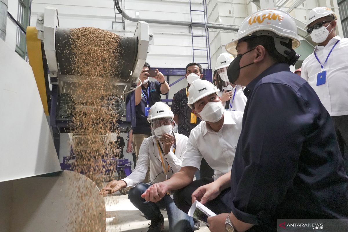 BPS catat harga gabah petani naik 2,87 persen pada Mei