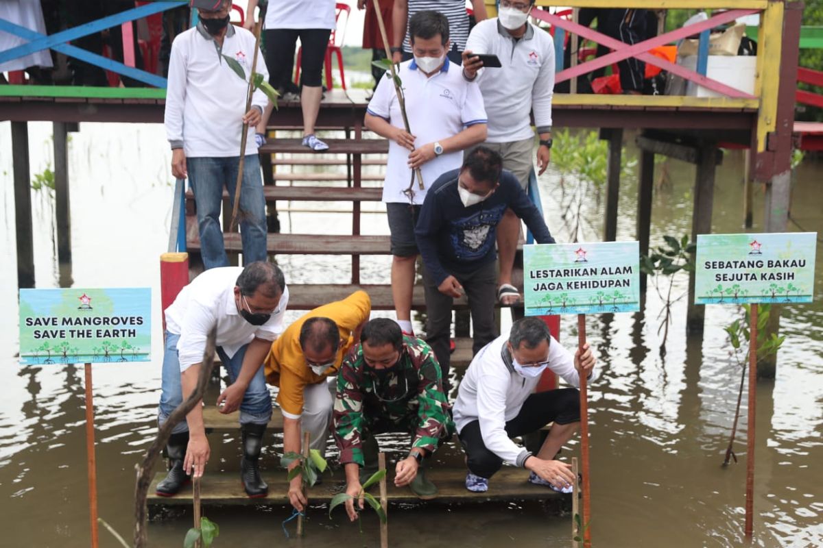Wali Kota Makassar apresiasi aksi Permabudhi tanam bibit mangrove