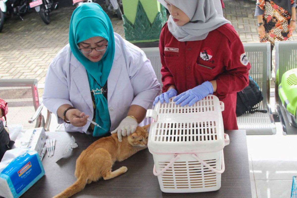 Vaksinasi rabies digelar September Kota Yogyakarta siapkan 2.250 dosis