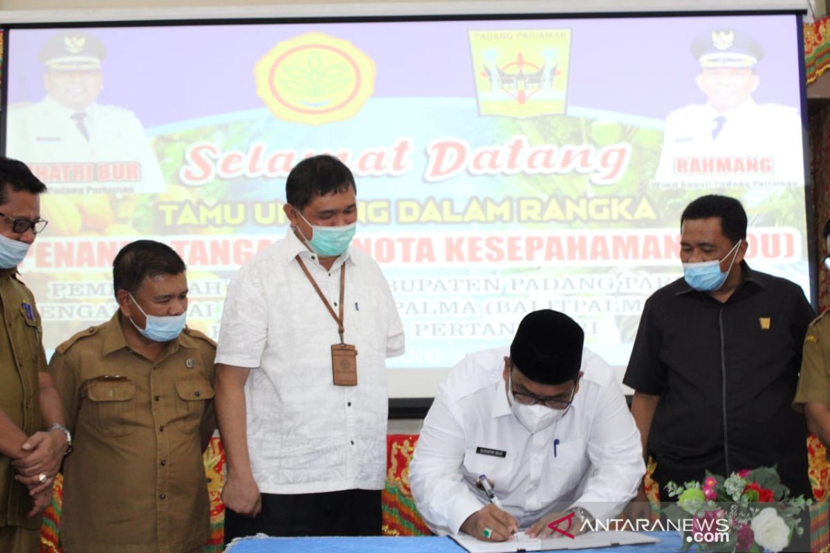 Pemkab Padang Pariaman-Kementan sepakati MoU peluncuran varietas unggul kelapa