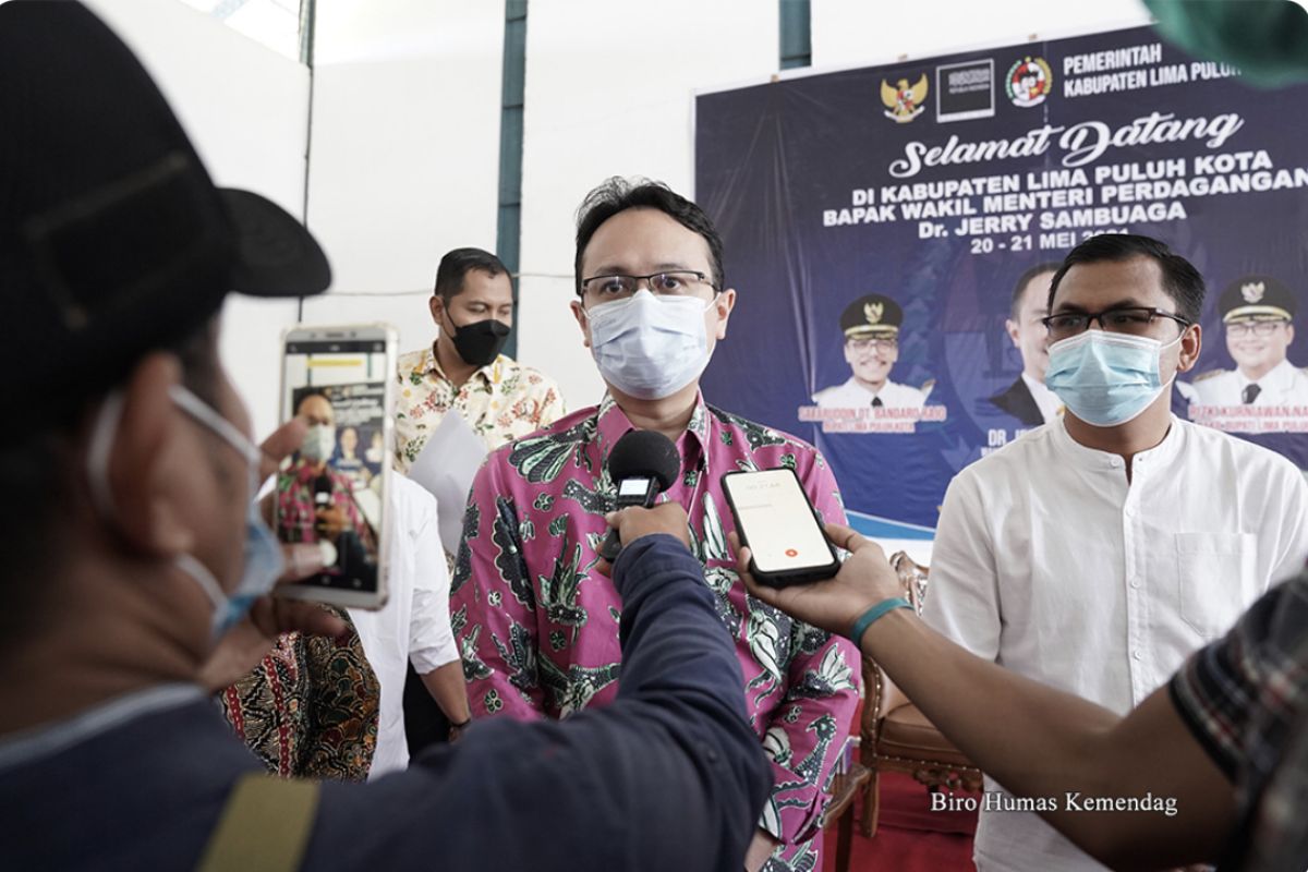 Kemendag dorong implementasi SRG untuk tingkatkan perdagangan gambir