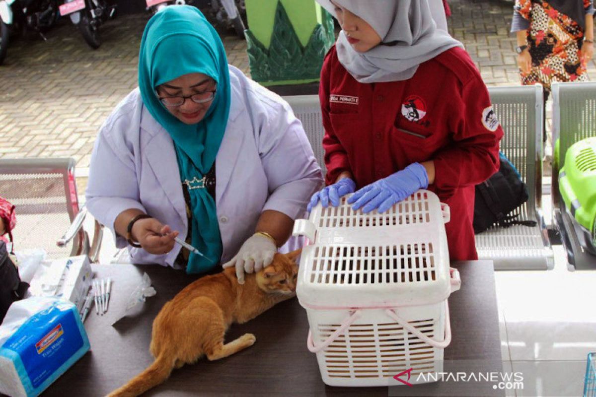 Vaksinasi rabies di Yogyakarta digelar September