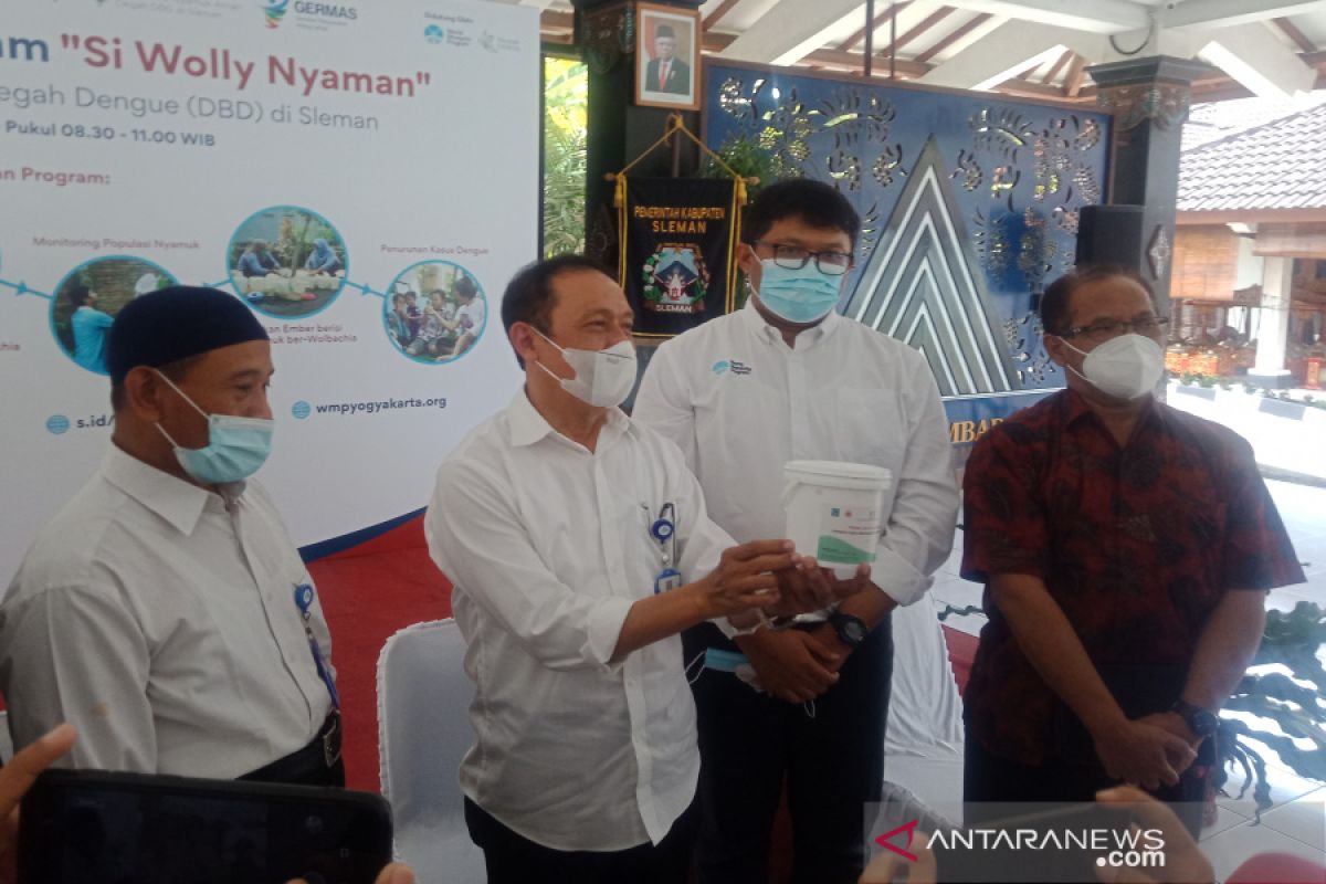 Dinkes Sleman: Telur nyamuk ber-wolbachia yang disebar tak berbahaya