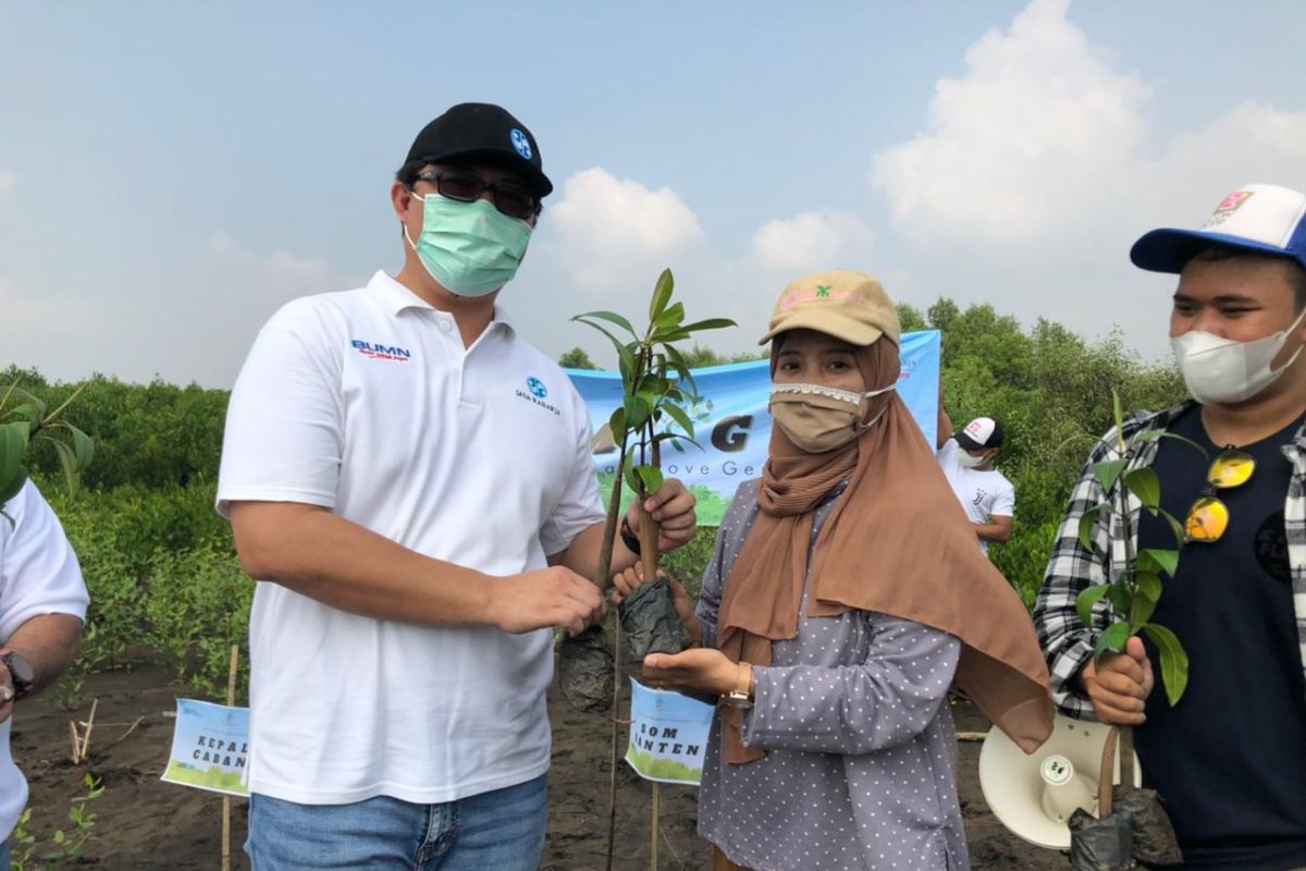 Jasa Raharja Banten tanam 500 bibit mangrove di Pantai Pontang, Serang, Banten