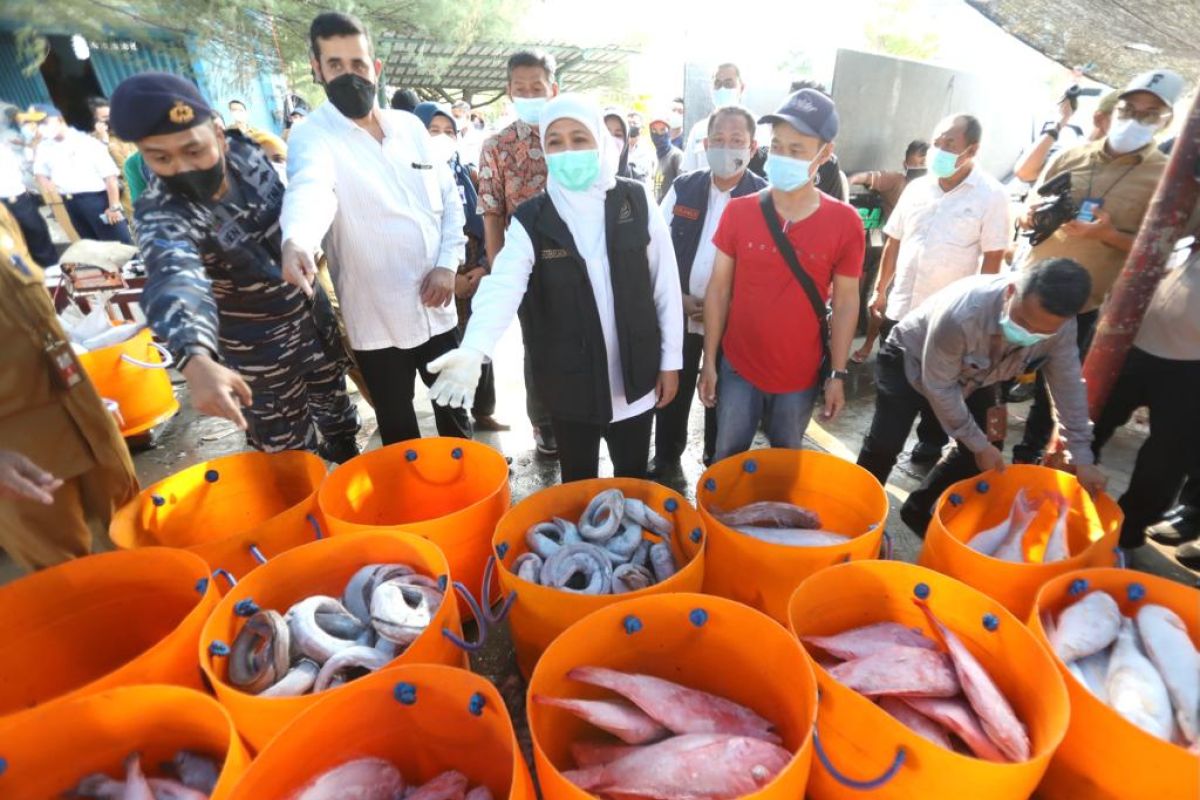 Gubernur Khofifah minta akses pasar ikan di Probolinggo diperluas