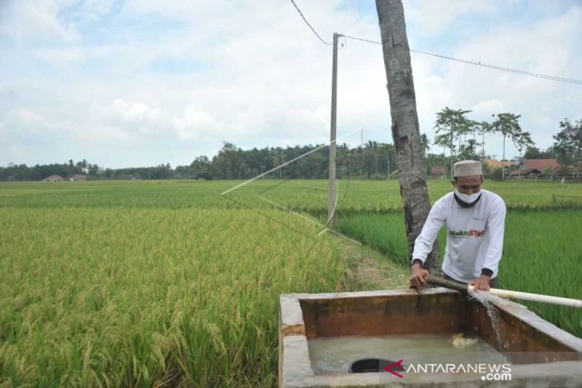 PLN pasok listrik di sejumlah desa sentra produksi perikanan Sumsel