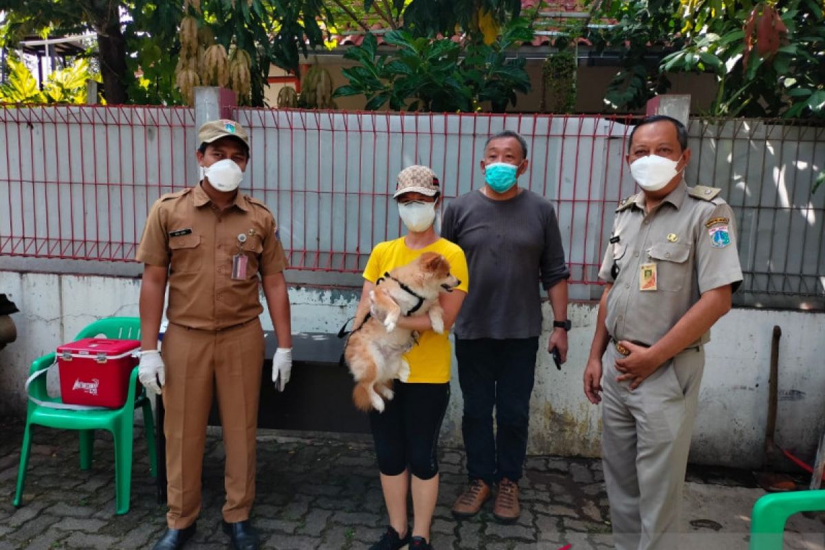 Sunter Agung gencar vaksinasi rabies puluhan ekor anjing dan kucing