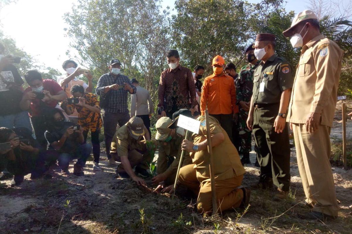 Pemkab Bangka Barat tanam 5.000 pohon di lahan kritis Bukit Menumbing